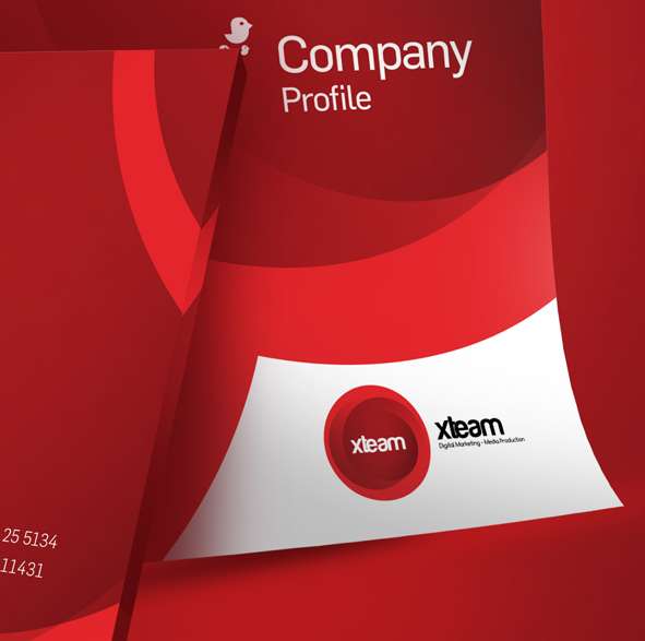 xteam Company Profile